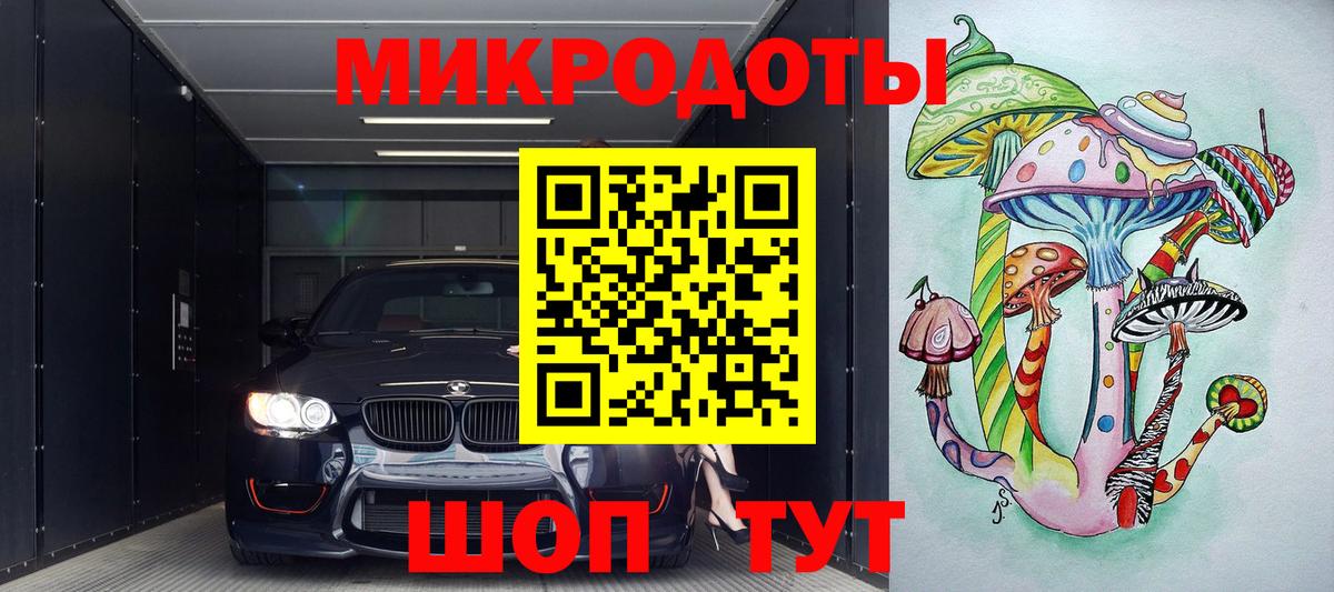 Псилоцибиновые грибы Psilocybe Нижнеудинск