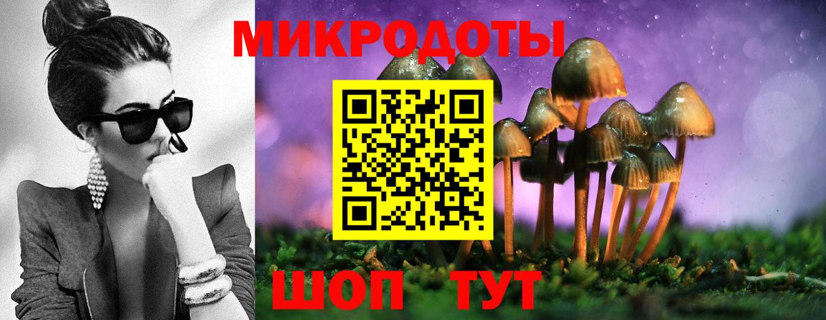 Нижнеудинск  Псилоцибиновые грибы GOLDEN TEACHER  Вход с VPN 